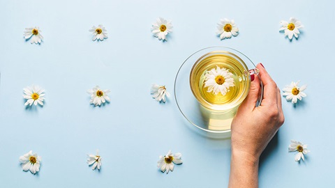 infusions camomille